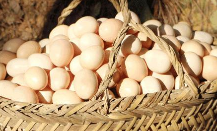 万家大院美食食材：农家土鸡蛋