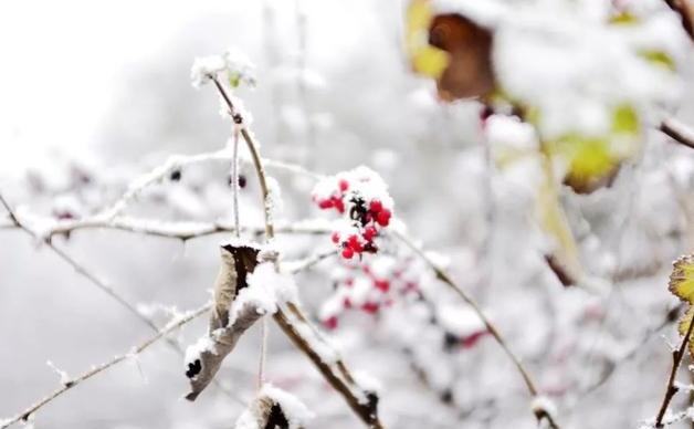 成都周边游记分享：边玩边走，深度探索冰雪世界